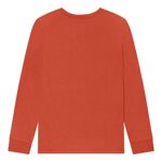 Champion Boys Long Sleeve Tee Shirt Kids Tops (Crayon Orange, Large)