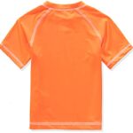 Big Chill Boys’ Short Sleeve Long Sleeve Rashguard Swim Shirt UPF 50+ (18, Orange (Short Sleeve))