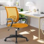 Home Office Chair Ergonomic Desk Chair Mesh Computer Chair with Lumbar Support Armrest Executive Rolling Swivel Adjustable Mid Back Task Chair for Women Adults,Orange