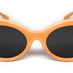 WebDeals Oval Round Retro Sunglasses Color Tint or Smoke Lenses Clout Goggles (Orange, Smoke)……