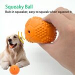 Volacopets Dog Squeaky Balls for Medium and Large Dogs, Orange Squeaky Tennis Ball, Interactive Dog Squeaky Toys, 2pack