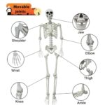 5.4ft/165cm Halloween Skeleton, Poseable Full Size Skeleton with Black Cloak, Life Size Human Bones for Halloween Front Yard Patio Lawn Garden Props Spooky Party Decoration