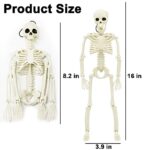 DINESIL 5 Packs Posable Halloween Skeleton, Full Body Halloween Skeleton with Movable Joints, 16″ Hanging Spooky Skeletons for Halloween Haunted House Party Home Props Decorations