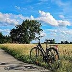 Orange Bicycle