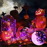 LYHOPE Orange & Purple Halloween Lights, 98.4ft 300 LED Halloween Lights, Low Voltage 8 Modes Decoration String Lights for Garden, Patio, Indoor, Holiday Party (Orange Purple)