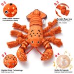 Sedioso Dog Toys, Dog Plush Toy for Large Breed, Cute Squeaky Dog Toys with Crinkle Paper, Dog Chew Toys for Puppy, Small, Middle, Big Dogs (Lobster)