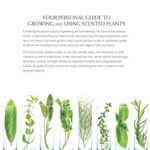 Essential Aromatherapy Garden: Growing and Using Scented Plants and Herbs