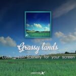 Grassy Lands – Lush Green Scenery for Your Screen