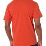Champion mens Classic T-shirt, Script Logo T Shirt, Spicy Orange-y07718, Large US