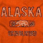 Brisco Brands Alaska Stenciled Bear Distressed Hoodie Sweatshirt Women Men Orange