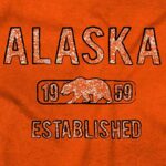 Brisco Brands Alaska Stenciled Bear Distressed Hoodie Sweatshirt Women Men Orange