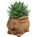 Classic Home and Garden Cement Buddies Indoor Outdoor Planter with Drainage Hole, Rabbit, Rust, Large, 8in