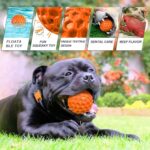 Dog Squeaky Balls, Indestructible Dog Toys for Aggressive Chewers Large/Medium Breed, Durable Tough Dog Chew Toys for Aggressive Chewers, Natural Rubber Dog Balls Interactive Toys (Orange)