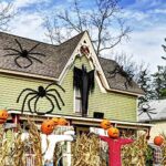 Aiduy Outdoor Halloween Decorations Scary Giant Spider Fake Large Spider Hairy Spider Props for Halloween Yard Decorations Party Decor, Black (1 Pack)