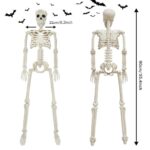 2PACK Plastic Posable Halloween Skeleton Decorations, 3FT Poseable Skeleton Full Body with Movable Joints for Halloween Indoor/Outdoor Haunted Houses, Lawn, Graveyard Decor