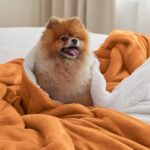 Bedsure Sherpa Fleece Throw Blanket for Couch – Soft Fuzzy Plush Orange Fall Blanket, Thick and Warm Blanket for Winter, 50×60 Inches