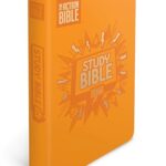The Action Bible Study Bible ESV, Leathersoft, Orange, Full Color