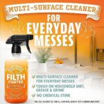 ANGRY ORANGE Citrus Multipurpose Cleaner Spray for Kitchen and Bathroom – 24 oz – Value 2 Pack